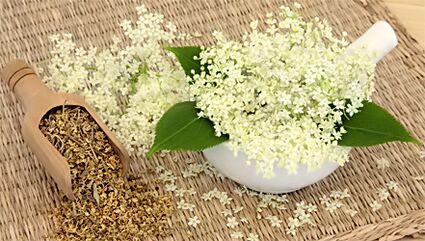 Gras zur Behandlung von Arthrose